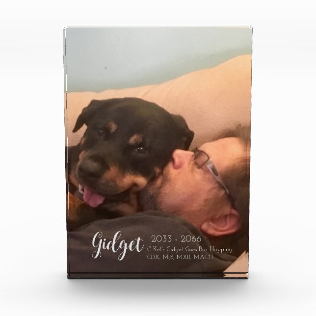 Monumento conmemorativo de los títulos de la foto  (Anverso)