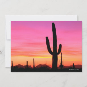 Monumento nacional de la tubería de órganos