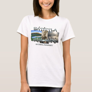 Monumento Nacional Satittla NM Camisetas para dama