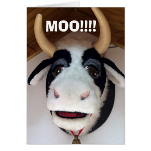 MOO-"40" ES ALGO PARA MOO DE HABLAR DE VACA