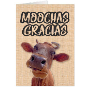"Moochas Gracias" Vaca Tarjeta de agradecimiento