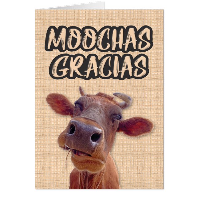 "Moochas Gracias" Vaca Tarjeta de agradecimiento (Frente)