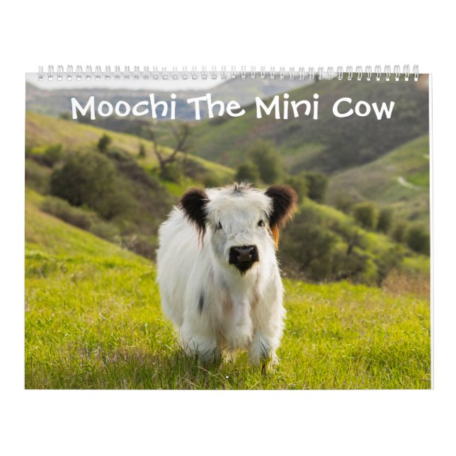 Moochi el mini calendario de la vaca (Tapa)