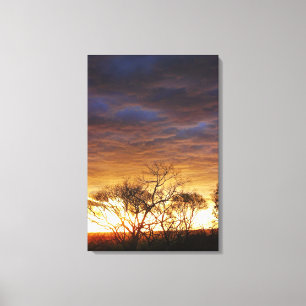 Moodscapes: Fotografía de Arte Vivo