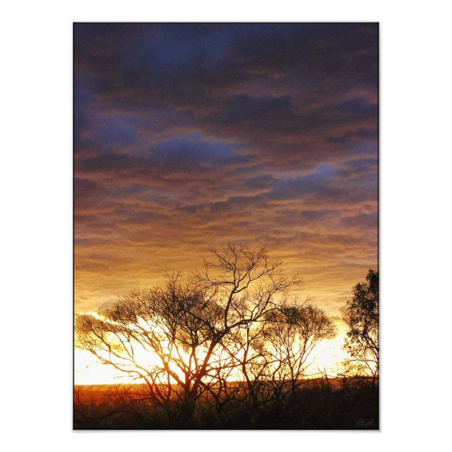 Moodscaps: Foto de Arte Vivo (Frente)