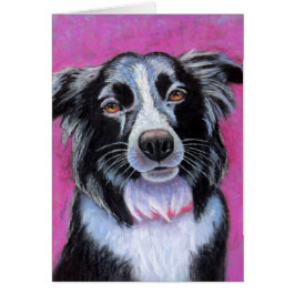 Moon Dog Border Collie