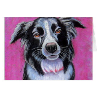 Moon Dog Border Collie