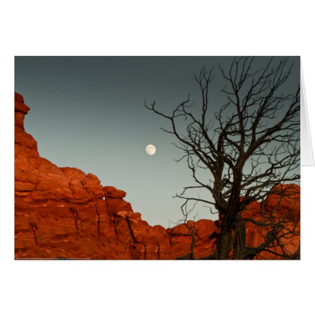 Moon malvada (Anverso (Horizontal))