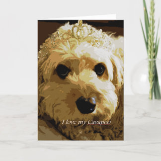 Mooncards, Cavapoo, princesa, tarjeta de