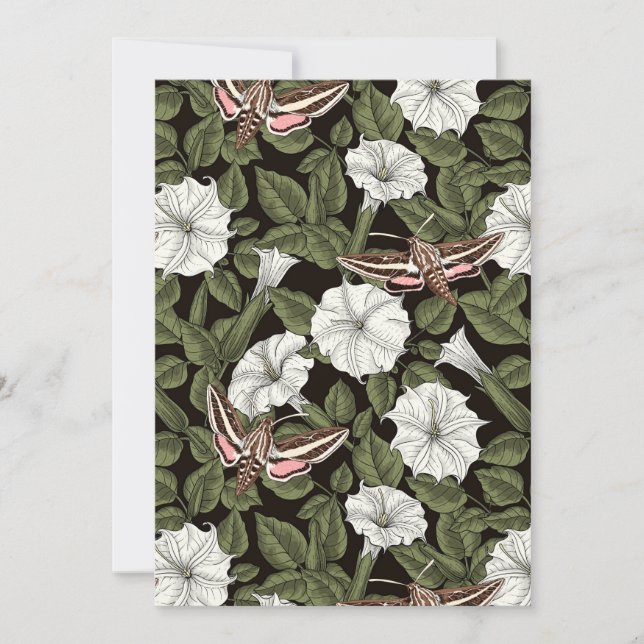 Moonflowers y esfinges (Anverso)