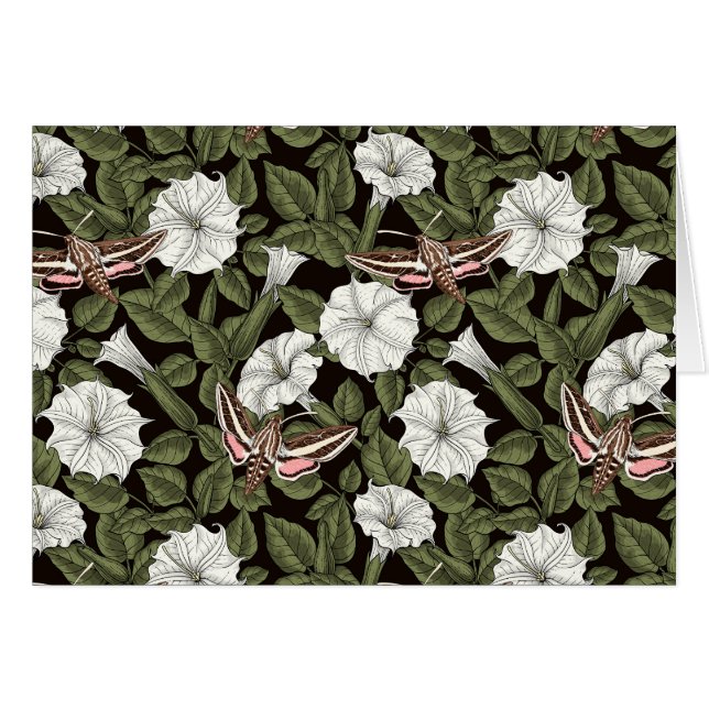 Moonflowers y esfinges (Anverso (Horizontal))