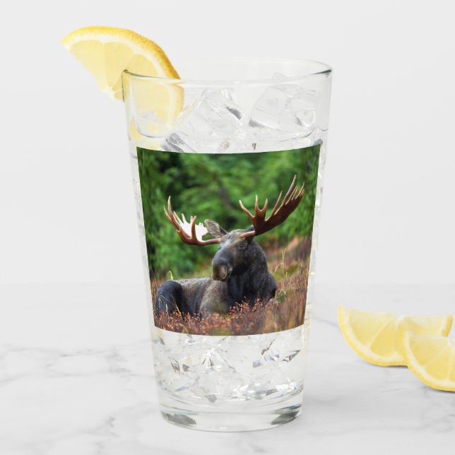 Moose (Anverso (hielo))