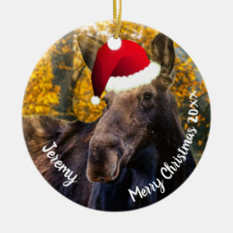 Moose en el ornamento cerámico de Santa Hat