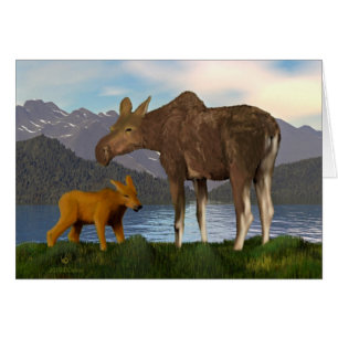 Moose In The Meadow