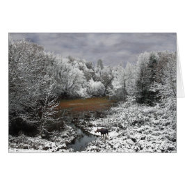 Moose on Snowy Oxbow