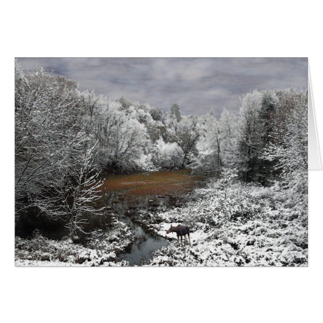 Moose on Snowy Oxbow (Anverso (Horizontal))