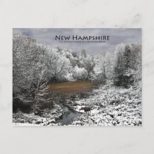 Moose on Snowy Oxbow: Postales de Nuevo Hampshire