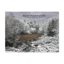 Moose on Snowy Oxbow: Postales de Nuevo Hampshire