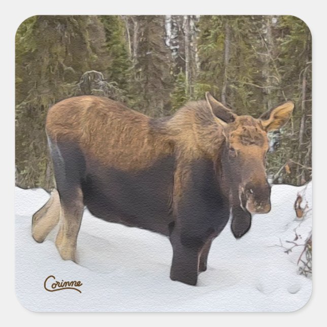 Moose - Pegatinas sobre (Anverso)