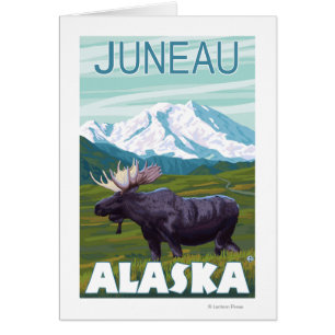 Moose Scene - Juneau, Alaska