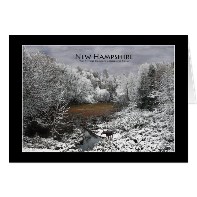 Moose solitario en una nevada tarjeta Oxbow New Ha (Anverso (Horizontal))