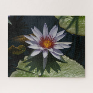Morado Blanco Waterlios Jigsaw Puzzle