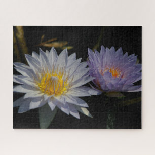 Morado Blanco Waterlios Jigsaw Puzzle