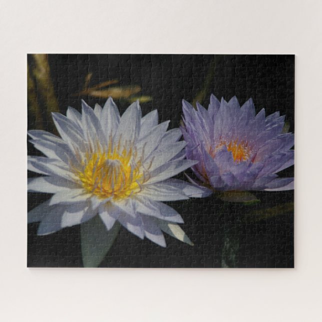 Morado Blanco Waterlios Jigsaw Puzzle (Horizontal)