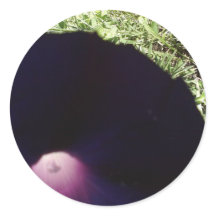 Morado morado morado Pegatina de flores de gloria