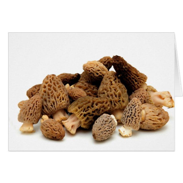 Morel Mushroom (Anverso (Horizontal))