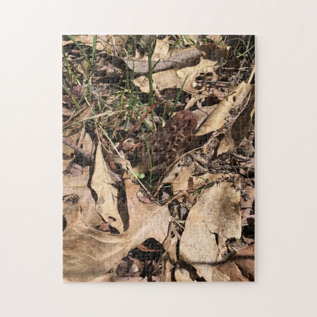 Morel Puzzle (Vertical)
