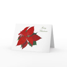 Morera Navidad Floral acuarela