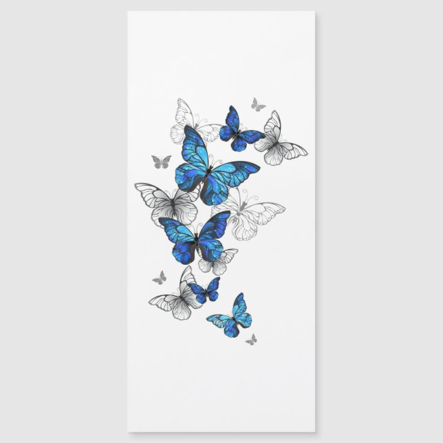 Morfo de las mariposas voladoras azules (Anverso)