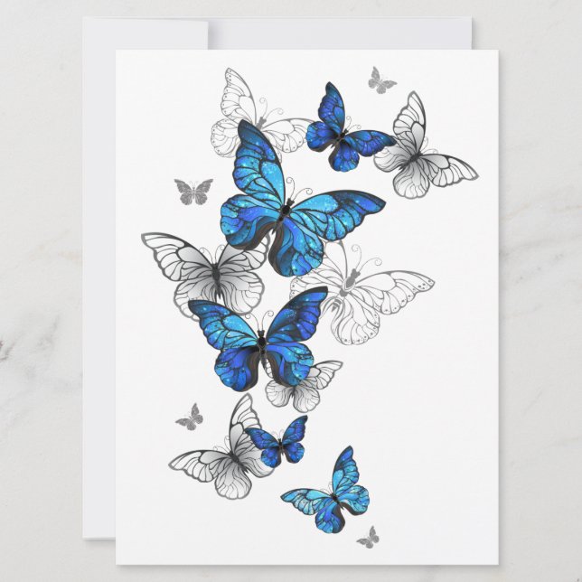 Morfo de las mariposas voladoras azules (Anverso)