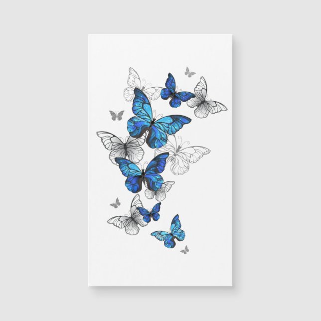 Morfo de las mariposas voladoras azules (Anverso)