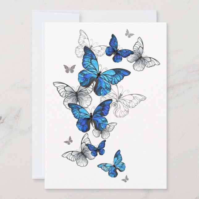 Morfo de las mariposas voladoras azules (Anverso)