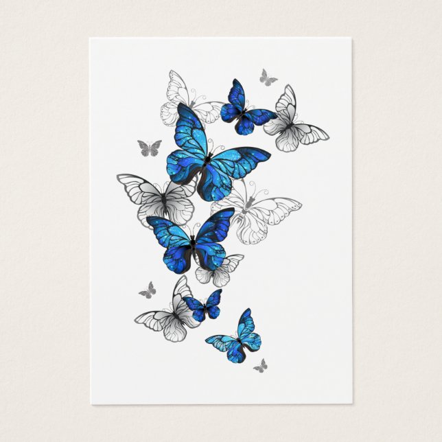 Morfo de las mariposas voladoras azules (Frente)