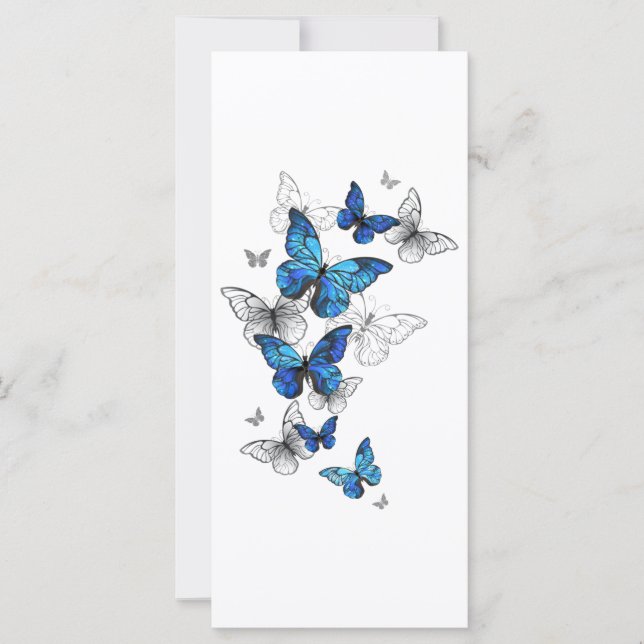 Morfo de las mariposas voladoras azules (Anverso)