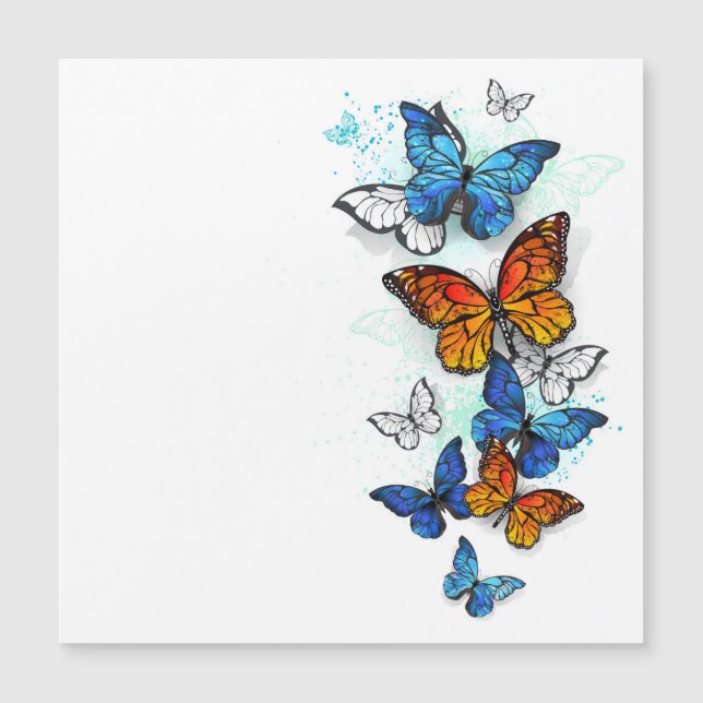 Morfo y monarca de las mariposas voladoras (Anverso)