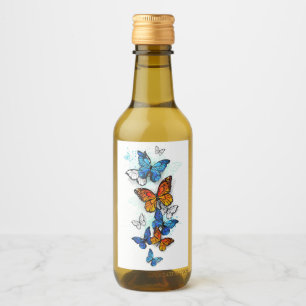 Morfo y monarca de las mariposas voladoras