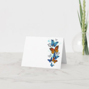 Morfo y monarca de las mariposas voladoras