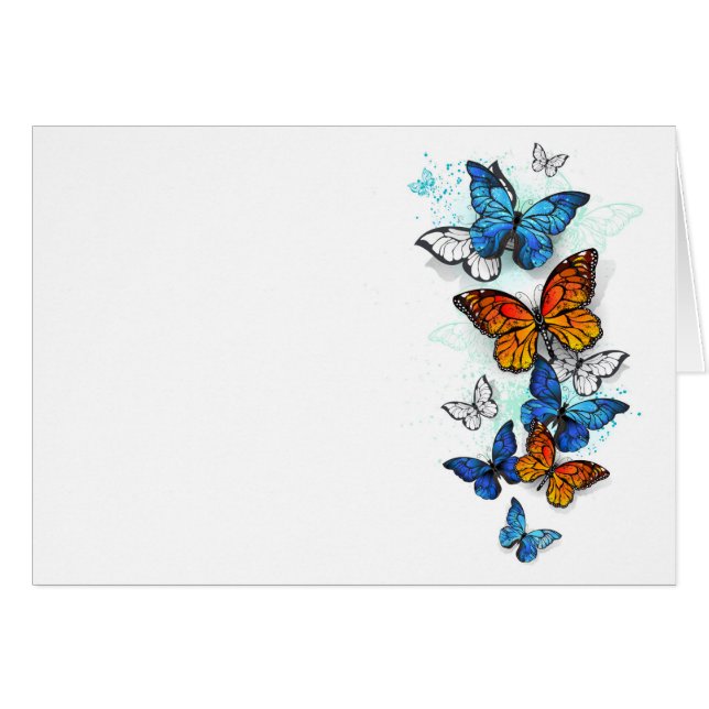 Morfo y monarca de las mariposas voladoras (Anverso (Horizontal))