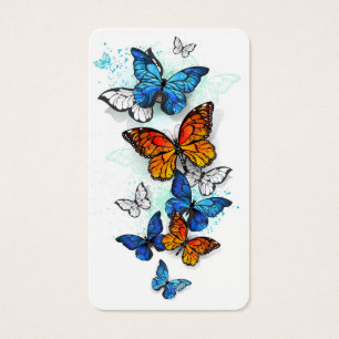 Morfo y monarca de las mariposas voladoras