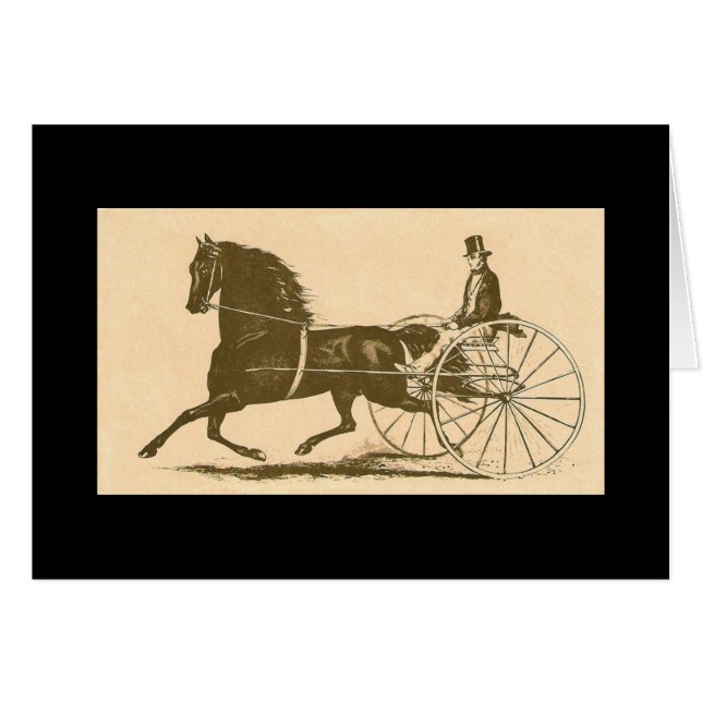 Morgan americana (Anverso (Horizontal))