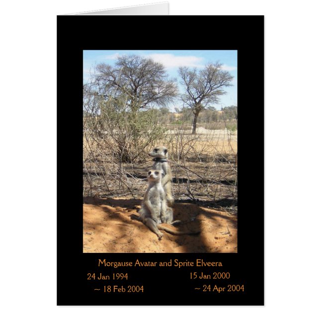 Morgause y Sprite - tarjeta de las leyendas (Frente)