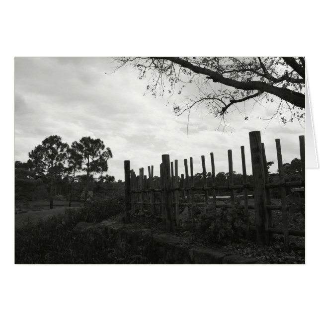 Morikami en blanco y negro (Anverso (Horizontal))