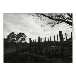 Morikami en negro y blanco