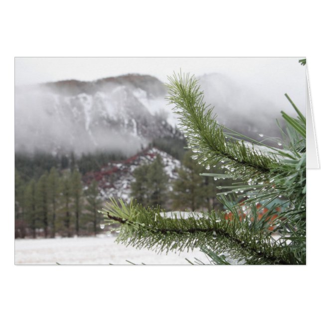 Morn del invierno frío (Anverso (Horizontal))