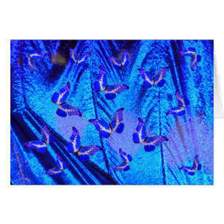 MorphoButterfly azul