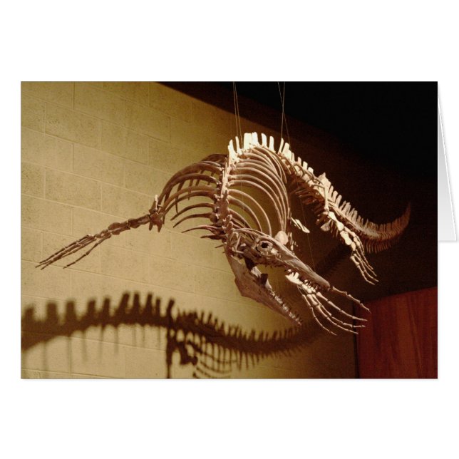 Mosasaur - "lagarto del mar " (Anverso (Horizontal))